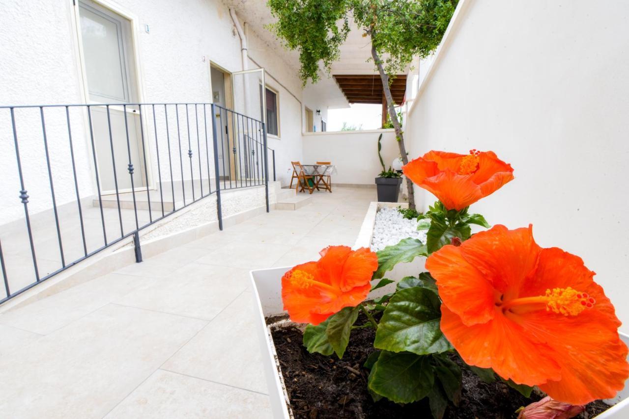 B&B Macchia Mediterranea San Pietro in Bevagna Exterior photo